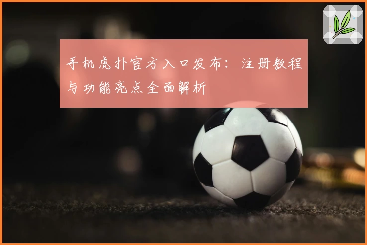 手机虎扑官方入口发布：注册教程与功能亮点全面解析